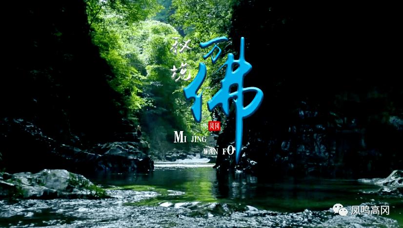 你支持保护社区内的阳性病例居家隔离吗？游戏画面